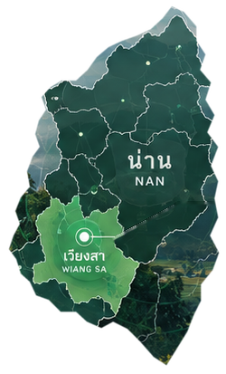 ภาพแผนที่เชิงภาพประกอบของจังหวัดน่าน เน้นอำเภอเวียงสา