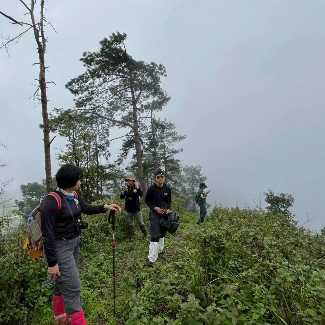 ผู้ร่วมสำรวจยืนอยู่บนพื้นที่สูงท่ามกลางต้นไม้และหมอก บางคนถือกล้องถ่ายภาพ