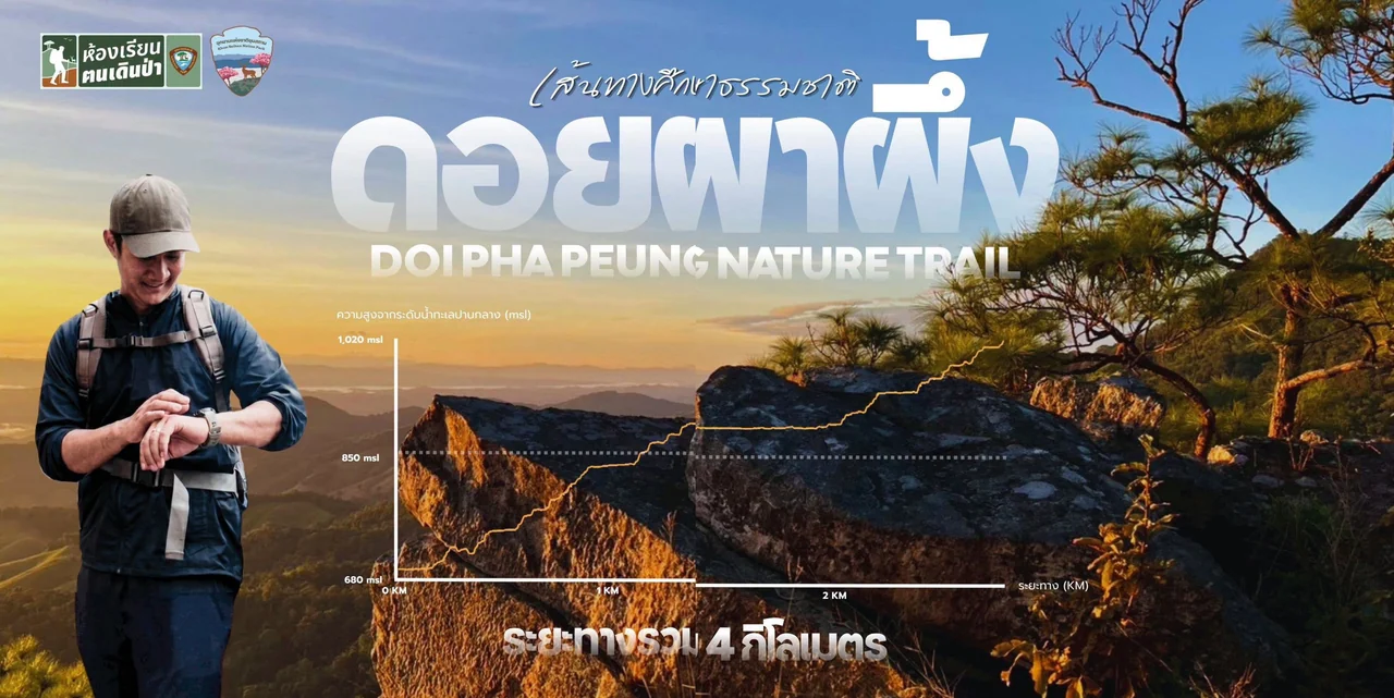 โปสเตอร์ดอยผาผึ้งแบบภาพเดียวจากสองส่วน แสดงผู้เดินป่า หน้าผา ป่าสน และกราฟระดับความสูง