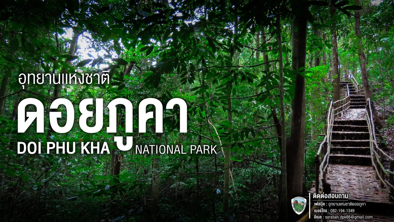 ภาพป่าร่มครึ้มกับบันไดทางเดินศึกษาธรรมชาติ พร้อมข้อความอุทยานแห่งชาติดอยภูคา Doi Phu Kha National Park