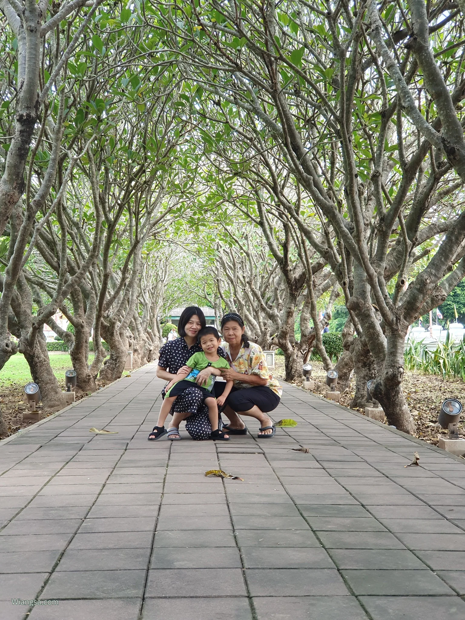 ภาพครอบครัวสามคนนั่งถ่ายรูปบนทางเดินอิฐ ใต้แนวต้นลีลาวดีที่เรียงโค้งเป็นอุโมงค์