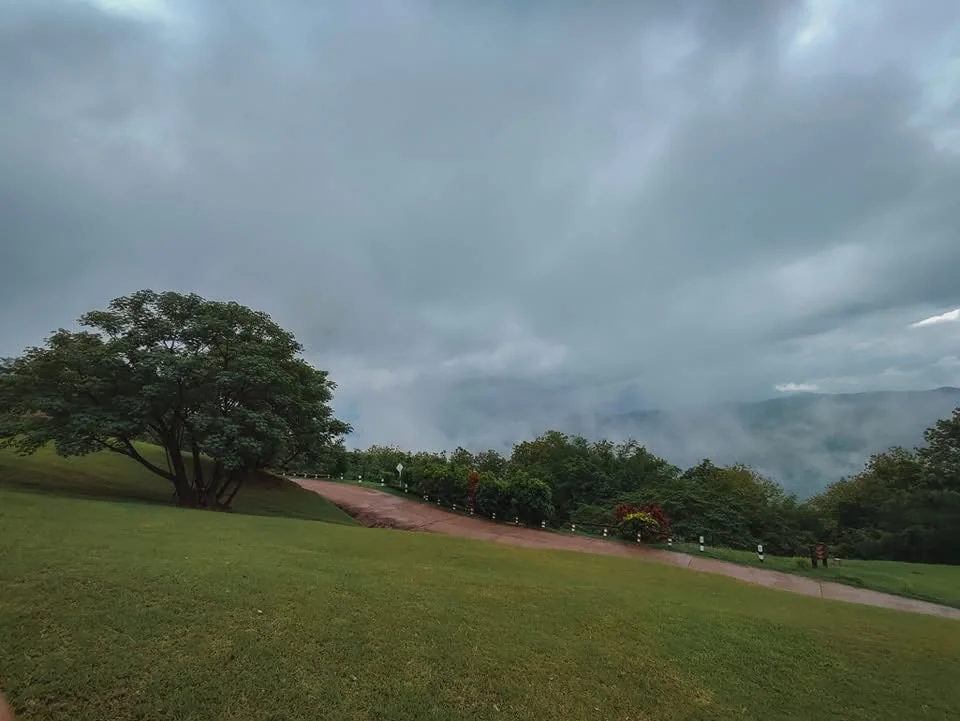 ลานหญ้าเขียวบนพื้นที่สูง มีต้นไม้ใหญ่และทางเดิน มองออกไปเห็นหมอกและภูเขา